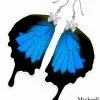 Real Papilio Ulysses butterfly earrings – nature-inspired jewelry for butterfly lovers