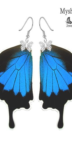 papilio ulysses real butterfly wing earrings nature jewelry closeup
