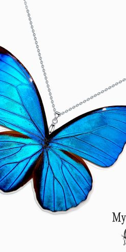 Real Morpho Rhetenor Butterfly Wing Necklace – Bold Fashion Jewelry for Trendy Women