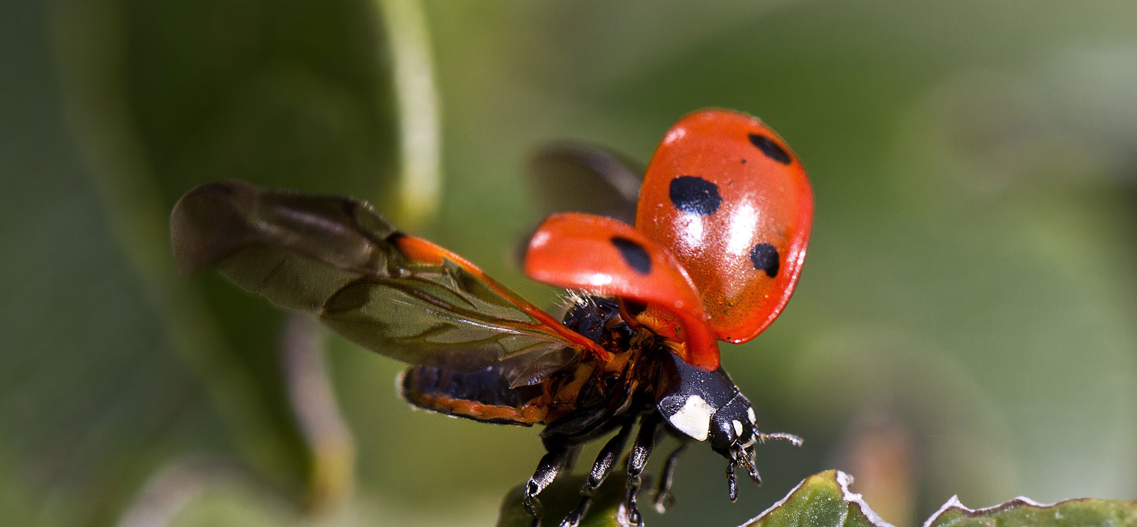 shipping information cover