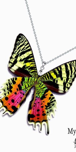 Urania Ripheus Butterfly Wing Necklace – Artisan Jewelry for Trendy Everyday Looks