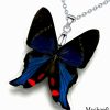 Boho butterfly necklace with real Rhetus Periander wing – trendy fashion jewelry
