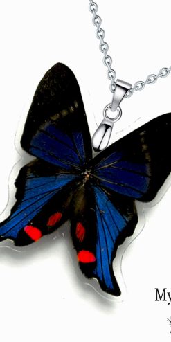 Boho butterfly necklace with real Rhetus Periander wing – trendy fashion jewelry
