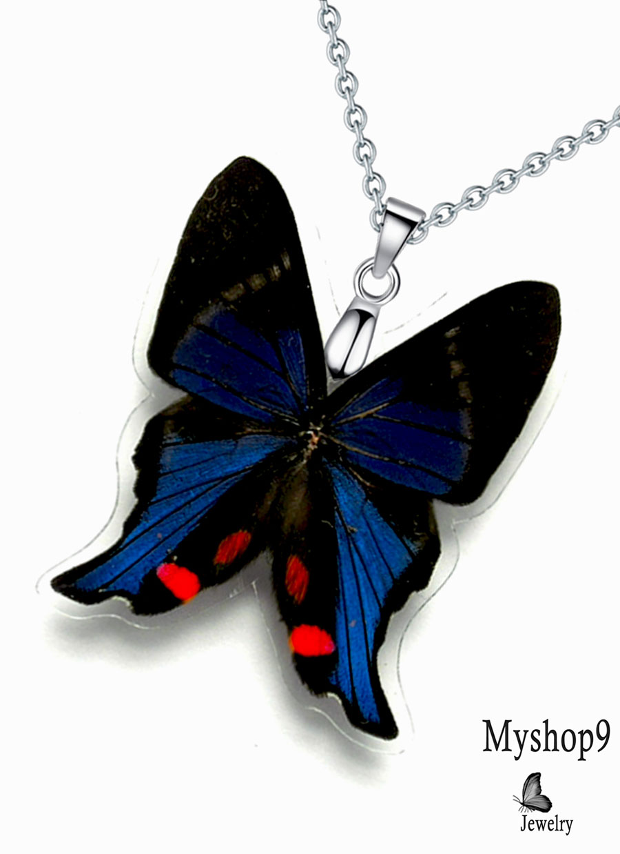 Boho butterfly necklace with real Rhetus Periander wing – trendy fashion jewelry