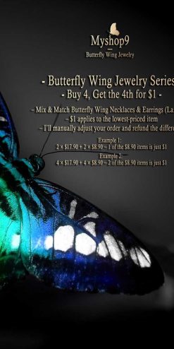 butterfly wing jewelry offers