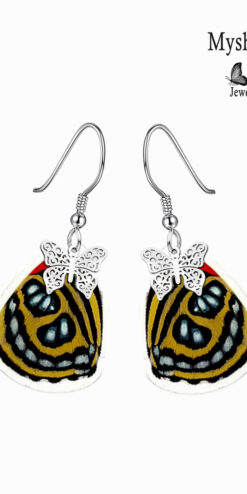 Wholesale Boutique Butterfly Earrings – Real Callicore Cyllene Wings – Trendy Handmade Jewelry in Bulk - Image 2