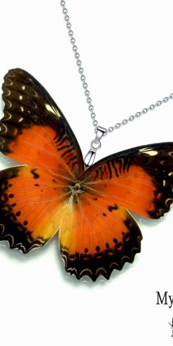Real Cethosia Biblis butterfly wing necklace for nature lovers and butterfly fans