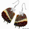 Handmade Charaxes Brutus Butterfly Wing Earrings – Unique Accessories for Brand Promotions