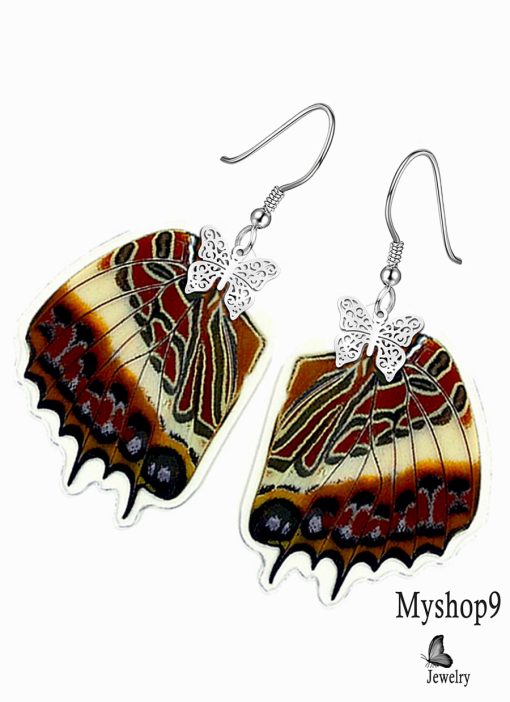 Handmade Charaxes Brutus Butterfly Wing Earrings – Unique Accessories for Brand Promotions