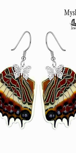 charaxes brutus butterfly earrings business gift closeup