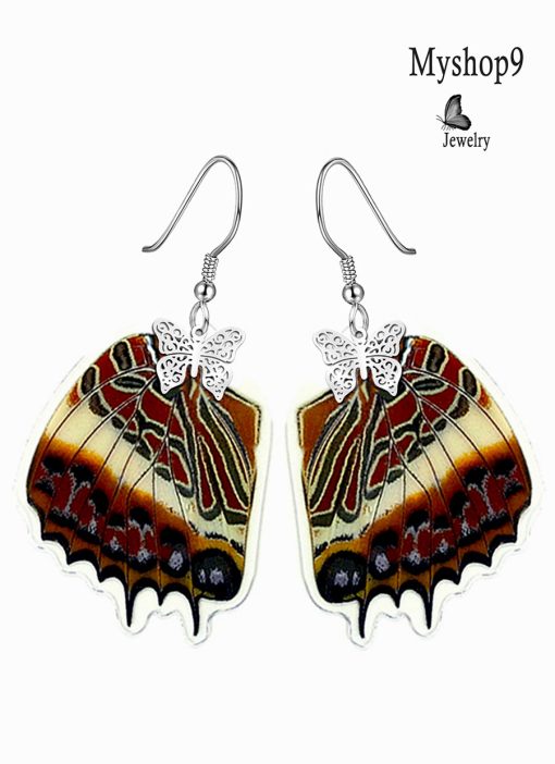 Charaxes Brutus Butterfly Wing Earrings – Unique Handmade Accessories for Brand Promotions - Image 2