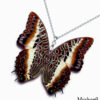 Charaxes Brutus Wing Necklace – Handmade Butterfly Jewelry for Event Gifting