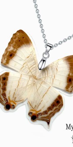 Real Cyrestis Cassander butterfly wing necklace – unique nature-inspired gift for butterfly lovers
