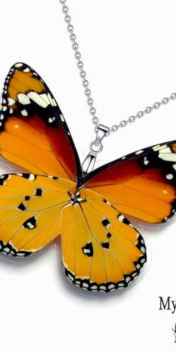 Danaus Chrysippus butterfly wing necklace for wholesale and boutique resale