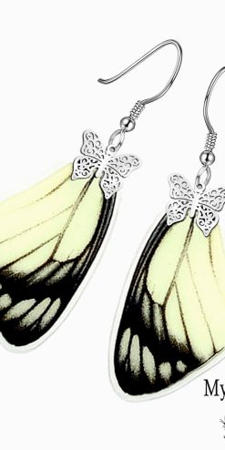 Handmade Delias Hyparete butterfly wing earrings – unique butterfly jewelry for lifestyle retailers and gift shops.