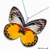 Handmade Delias Oraia Butterfly Wing Necklace – Natural Material Jewelry