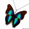Real butterfly wing wedding favor – Doxocopa Cherubina pendant necklace for elegant event gifts