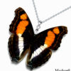 Real Doxocopa Laura butterfly wing necklace – handmade ethical jewelry