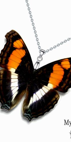 Real Doxocopa Laura butterfly wing necklace – handmade ethical jewelry