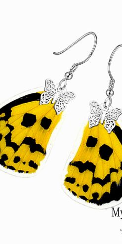 Trendy Dysphania Militaris butterfly wing earrings – nature-inspired fashion jewelry for stylish buyers.