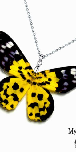 Real Dysphania Militaris butterfly wing necklace – whimsical nature-inspired jewelry