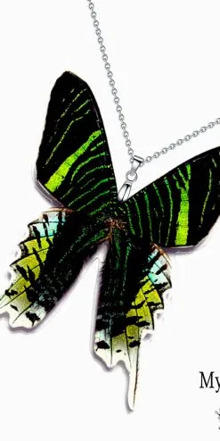 Eco-friendly Urania Leilus butterfly wing necklace – Handmade sustainable jewelry for shops
