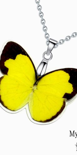 Eurema butterfly wing necklace – natural handmade jewelry for gift shops and boutiques