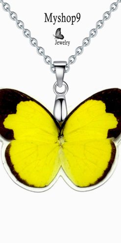 eurema handmade butterfly wing necklace gift shop closeup