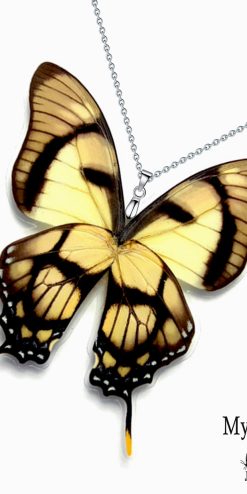 Wholesale butterfly wing necklace – Eurytides Dolicaon jewelry for gift shops and resellers