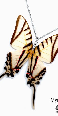 Eurytides Protesilaus butterfly wing necklace – handmade eco jewelry for ethical brands
