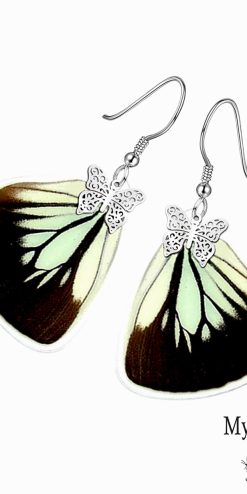 Exclusive handmade Pareronia Boebera butterfly wing earrings, eco-friendly nature-inspired jewelry, unique accessories