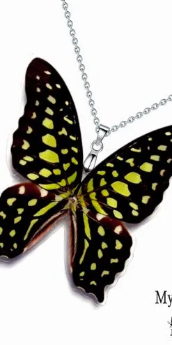 Eco-friendly butterfly wing pendant made from real Graphium Agamemnon wing