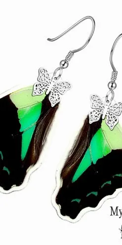Handmade Graphium Sarpedon Butterfly Wing Earrings – Real Nature Jewelry for Butterfly Lovers