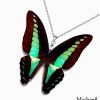 Handmade Graphium Sarpedon butterfly wing necklace – gift-ready for boutiques and business bundles