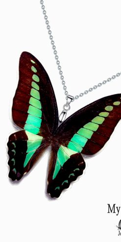 Handmade Graphium Sarpedon butterfly wing necklace – gift-ready for boutiques and business bundles