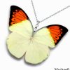 Handmade minimalist necklace with real Hebomoia Glaucippe butterfly wing