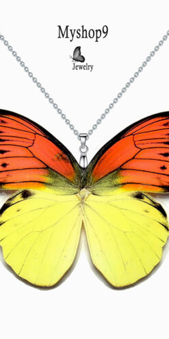 hebomoia leucippe butterfly necklace wholesale artisan jewelry closeup