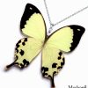 Papilio Dardanus butterfly wing necklace – eco-friendly corporate gift