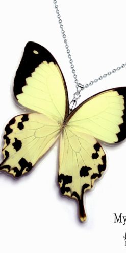 Papilio Dardanus butterfly wing necklace – eco-friendly corporate gift