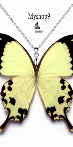 papilio dardanus corporate gift butterfly necklace closeup