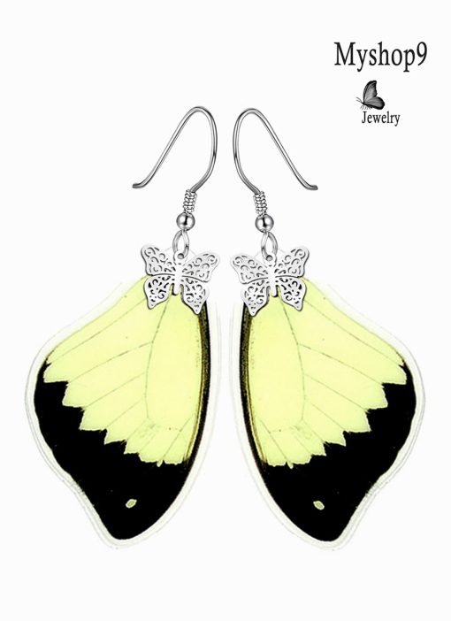 Eco Jewelry Wholesale – Real Papilio Dardanus Wing Earrings for Resellers - Image 2