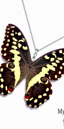 Handmade butterfly wing necklace made with real Papilio Demodocus wing