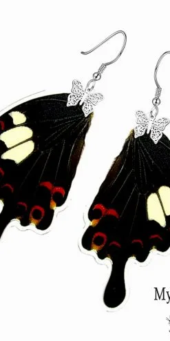 Real Papilio Helenus butterfly wing earrings – Handmade, nature-inspired jewelry for butterfly lovers.