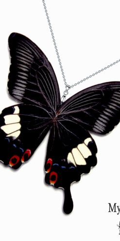 Real Papilio Iswara butterfly wing pendant necklace for butterfly lovers