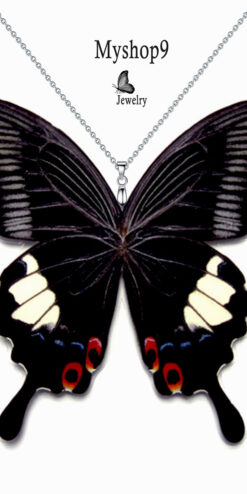 papilio iswara butterfly pendant necklace real wings closeup