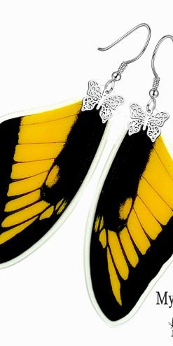 Papilio Lycophron Butterfly Wing Earrings – Unique Handmade Jewelry for Subscription Boxes