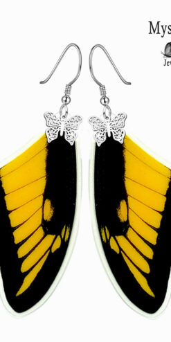 papilio lycophron earrings subscription box gift closeup