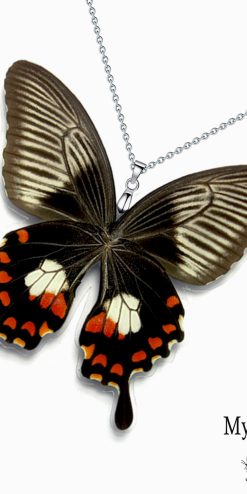 Handmade Papilio Polytes butterfly wing necklace – nature-inspired business gift