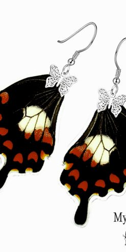 Eco-friendly Papilio Polytes butterfly earrings – handmade jewelry for wholesale resellers