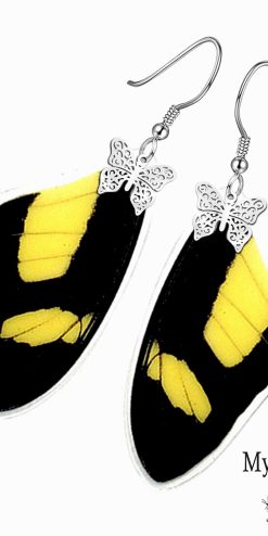 Papilio Torquatus butterfly wing earrings – wholesale artisan jewelry for market vendors